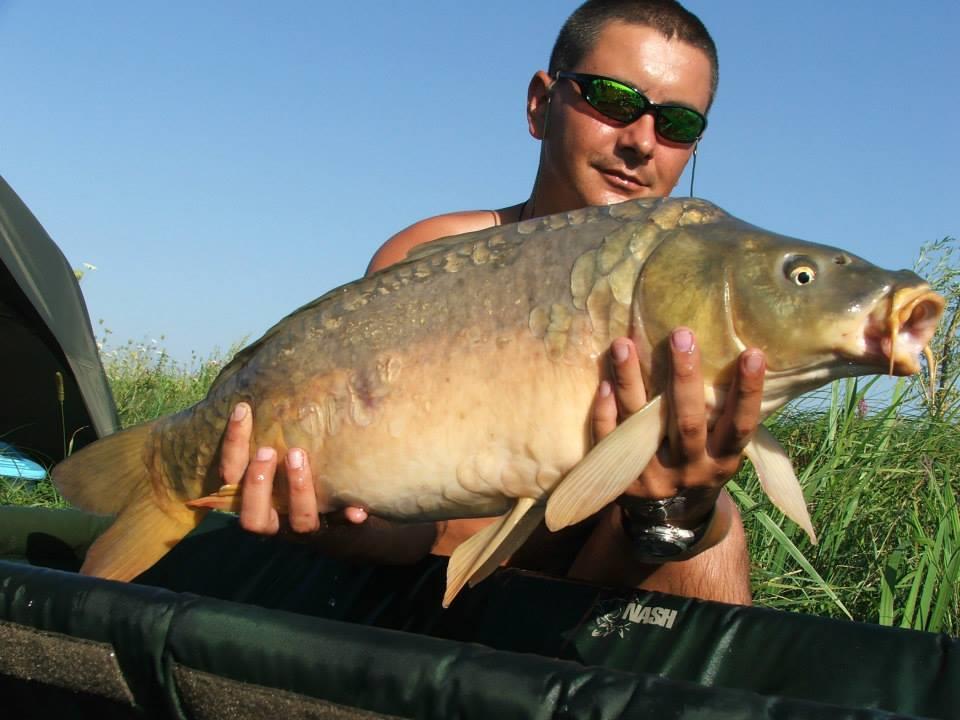 Lates 5-8 august 2013 ...cu prietenii - 1006329619775468089658821945636n.jpg